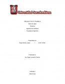 PROYECTO DO IT YOURSELF