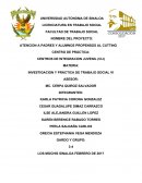 INVESTIGACION Y PRÁCTICA DE TRABAJO SOCIAL VI