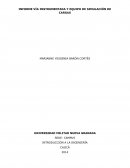 INFORME VÍA INSTRUMENTADA Y EQUIPO DE SIMULACIÓN DE CARGAS