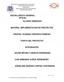 IMPLEMENTACION DE PROYECTOS “CARTA DEL PROYECTO”