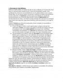 RESUMEN CONDUCTA CONSUMIDOR