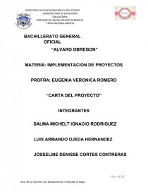 Implementacion De Proyectos Carta Del Proyecto Practicas O Problemas Adm Ar