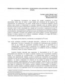 Plataformas tecnológicas: importancia y fortalecimiento como potenciadores del desarrollo del país