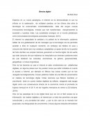 Brecha digital. La digitalización de la sociedad nos ha hecho expertos en compartir compulsivamente contenido