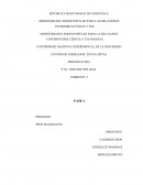 Sistematizacion. PROBLEMAS QUE SE PRETENDEN RESOLVER