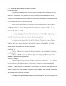 CULTIVOS DE HONGOS EN CAMARA HUMEDA