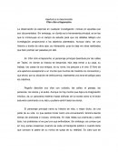 Resumen de Chin Chin el Teporocho