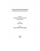 CASO PRACTICO UNIDAD 1