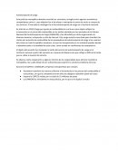 Un Analisis COFECE Autotransportes de carga