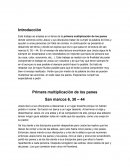 Ensayo. Trabajo de fe