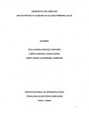 DIAGNÓSTICO DEL MERCADO IDEA DE PROYECTO: ALMACEN DE CALZADO FEMENINO LIZLOZ