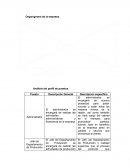 Organigrama de la empresa. Análisis del perfil de puestos