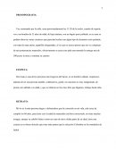 Tipos de descripcion. PROSOPOGRAFIA