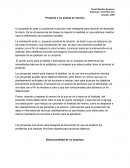 Proyecto y su puesta en marcha