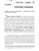 Amparo contra sentencia de segunda inatancia