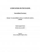 Ensayo “La sexualidad como un constructo social y cultural”