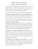 FASES DEL PROYECTO DE SIMULACION