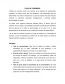 Fuga de Cerebros. CAUSAS