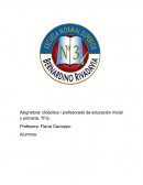 Asignatura: didáctica I profesorado de educación inicial y primaria. TFG
