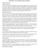 Analisis de proyectos: Hospitales y otras infraestructuras sanitarias