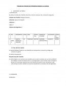 PROCESO DE ATENCION DE ENFERMERIA DIRIGIDO A LA FAMILIA