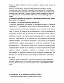 Realice el taller Programa y Plan de auditoría - AA2 que se muestra a continuació