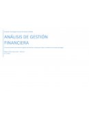 Análisis de gestión financiera
