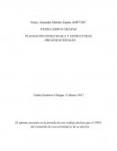 PLANEACION ESTRATEGICA Y ESTRUCTURAS ORGANIZACIONALES