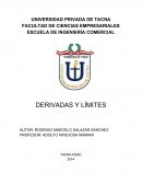Monografia limites y Derivadas
