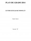 PLAN DE OCTAVO GRADO