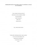 MEJORAMIENTO DEL FLUJO VEHICULAR EN EL CENTRO DE LA CIUDAD DE VALLEDUPAR