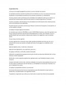 De que se encarga la geografía económica y como se dividen los sectores