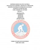 CATEDRA DE INGENIERÍA DEL SOFTWARE