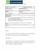 Reporte de Metodología de la Investigación