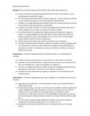 Desarrollo Experimental Montaje