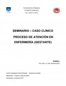 PROCESO DE ATENCIÓN EN ENFERMERÍA (GESTANTE)