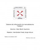 Trabajo Sistema de informacion de mercadotecnia