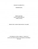 TRABAJO COLABORATIVO 2 TERMODINAMICA