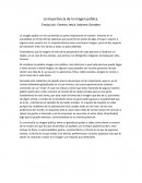 Ensayo La importancia de la imagen pública