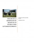 ANALISIS DE LA GENERACION DE BIOGAS EN UN ESTABLO PARA AUTOABASTECIMIENTO