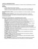 ¿Que es la neuropsicologia?