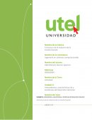 ACTIVIDAD Estructura de la industria de la transformación