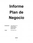 Informe Plan de Negocio