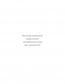 Muerte del padre, sufrimiento del niño