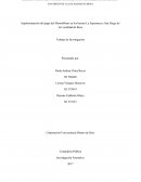 Implementación del pago del MonotrIbuto en los barrios La Esperanza y San Diego de la Localidad de Bosa