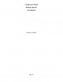 Síndromes por Cromosomas