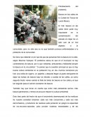 Basura en las calles de la Cuidad de Toluca de Lerdo México