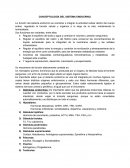 Conceptos del sistema endocrino