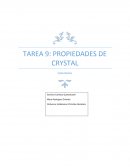 Realizacion de un proyecto y aportaciones