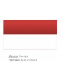 Biologia Ovario Poliquistico